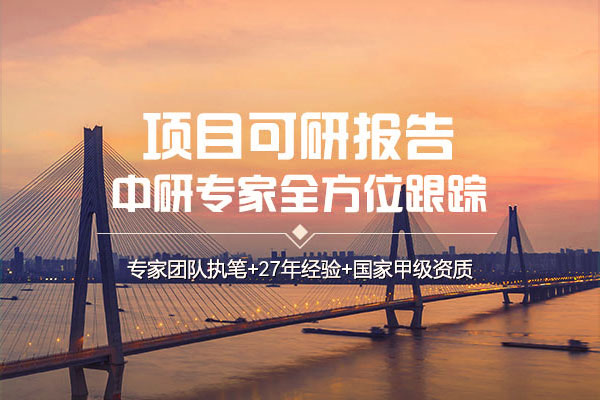 中研普華可行性研究報告